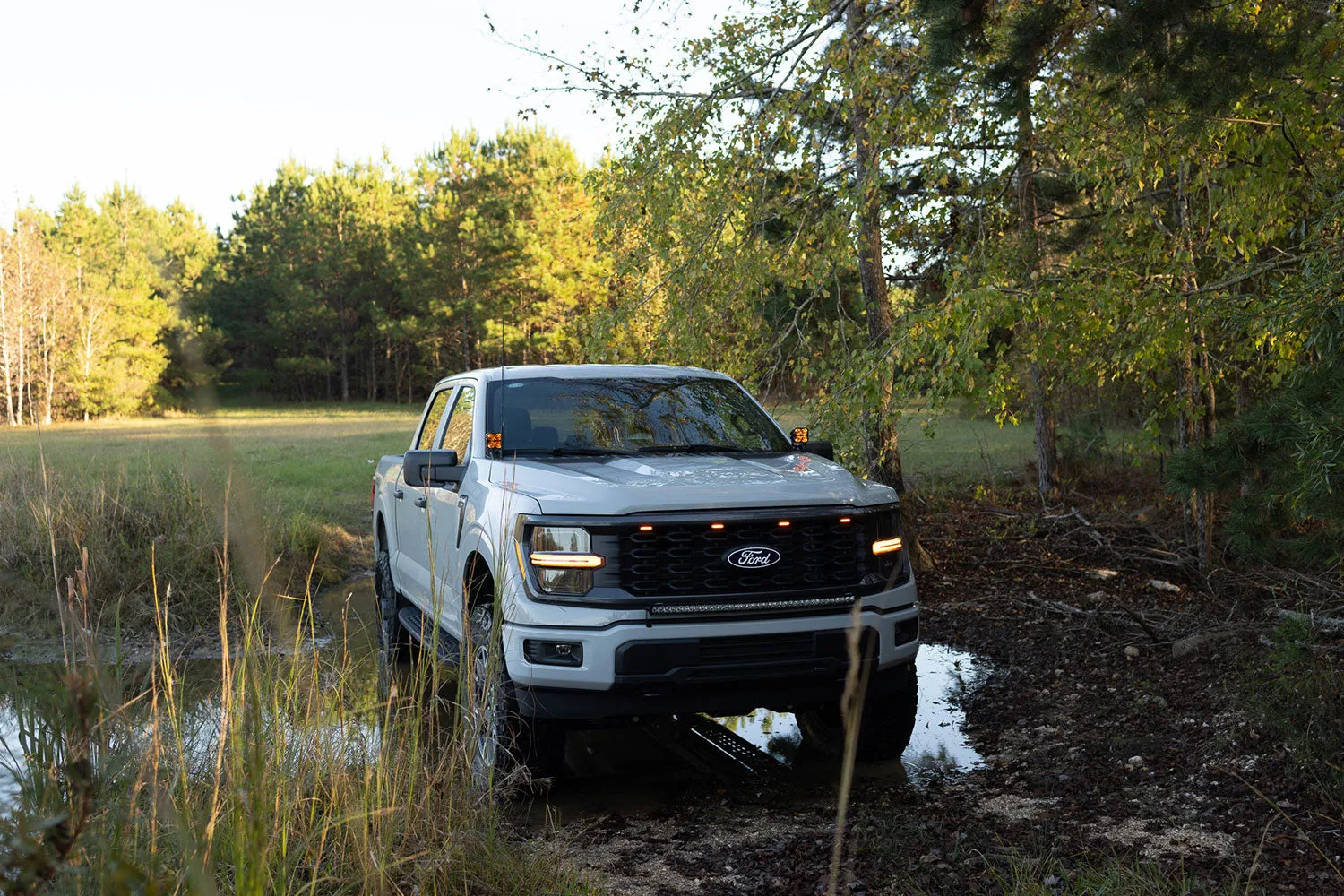 2024 - 2025 F150 CREE LED Hood Mounted MKII MKII Spartan Kit