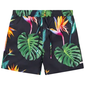 Bird of Paradise Short