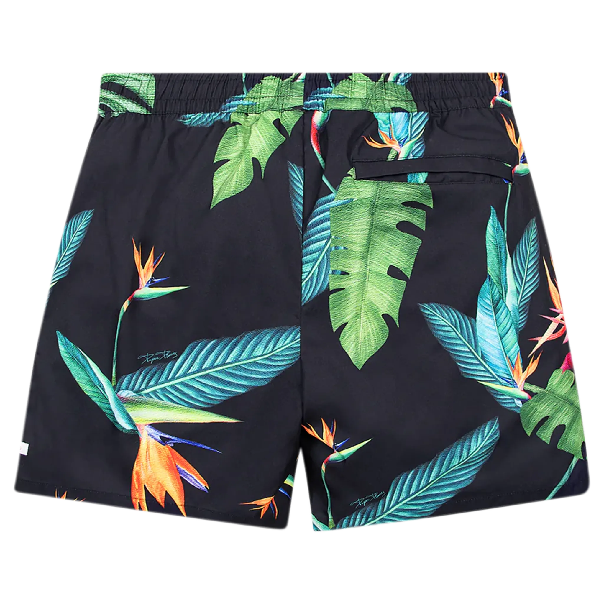 Bird of Paradise Short