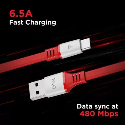 boAt Type C Charging Cable A750 (6.5A)