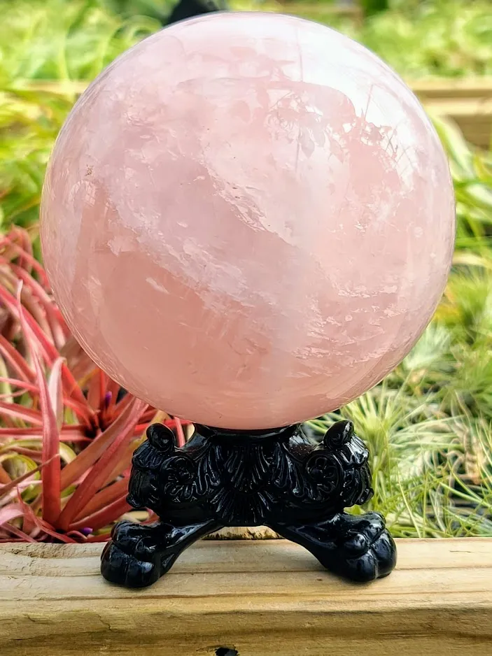 Elegant Black Crystal Stand