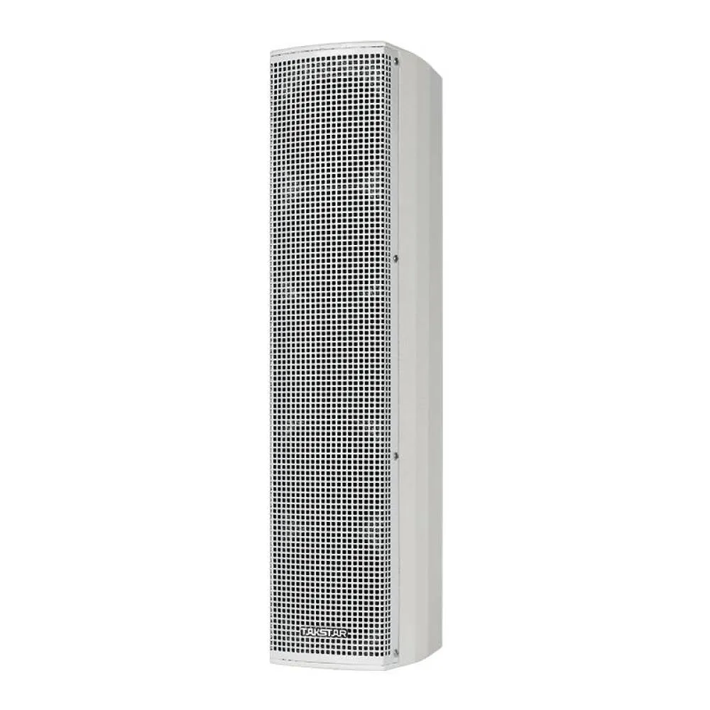 Internal audio speaker Takstar ESC-044 suspended (pair), white