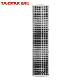 Internal audio speaker Takstar ESC-044 suspended (pair), white